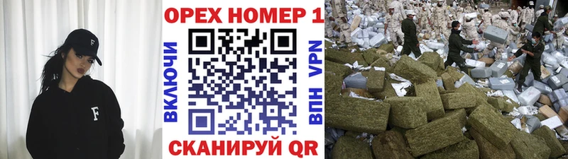 купить закладку  omg tor  Cocaine Эквадор  Шилка 