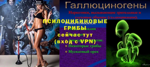 эйфоретик Абинск