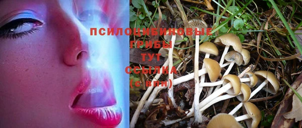 эйфоретик Абинск