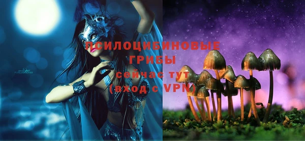 эйфоретик Абинск
