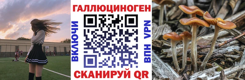 Галлюциногенные грибы Cubensis  Шилка 